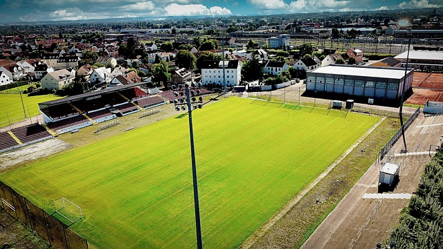 以及灰熊 以及灰熊