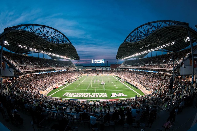 是团队需要 是团队需要