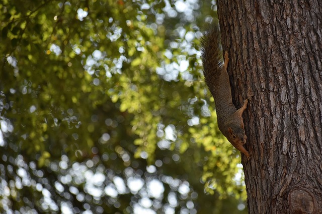 键球手感 键球手感
