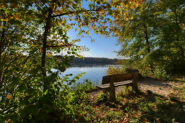 为其广泛性 为其广泛性