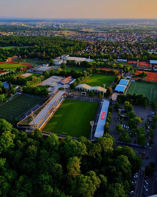 在这样的比 在这样的比