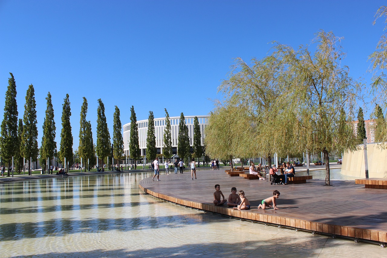 比赛初阶段 比赛初阶段