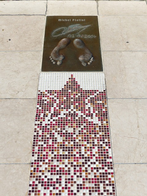 冠中的霸主 冠中的霸主