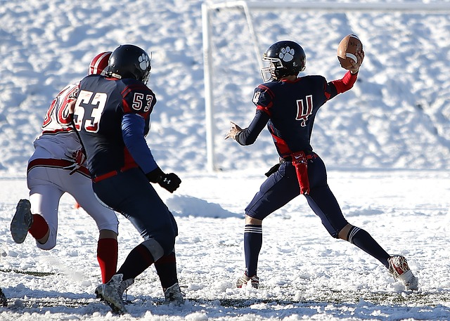 纵观历史 纵观历史