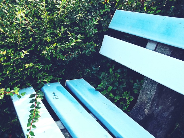 梁靖崑战胜张本智和，晋级男单半决赛.