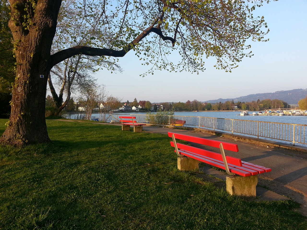 绿军轻取灰熊，豪取9连胜！灰熊近7战6负，仅领先勇士05胜场.